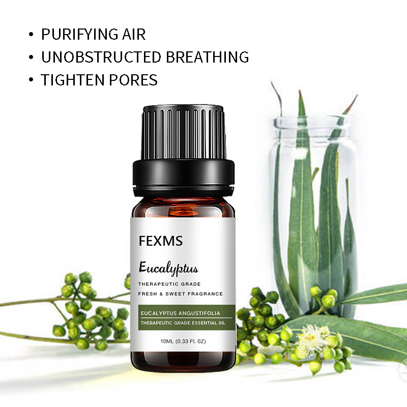 Olejek eteryczny eukaliptusowy – Home Fragrance Eucalyptus recenzja i cena
