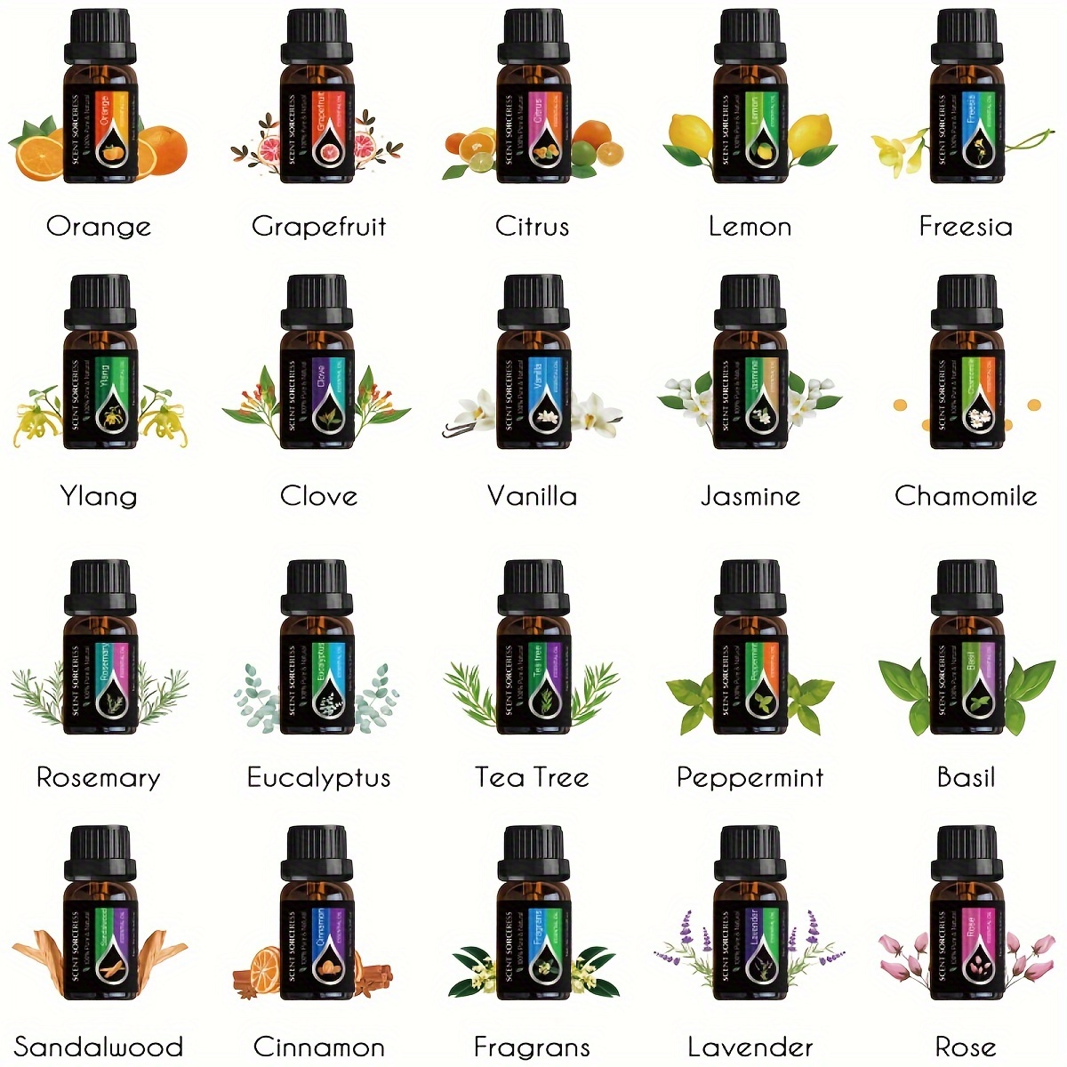20 sztuk/zestaw Klasyczny Zest – Home Fragrance Eucalyptus recenzja i cena